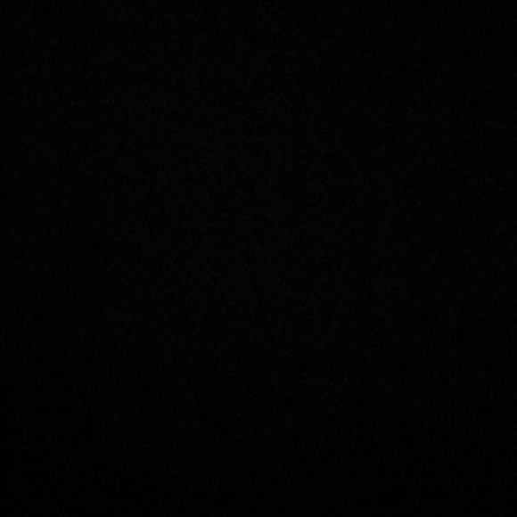 Meet your Posher, Riley - Picture 1 of 1